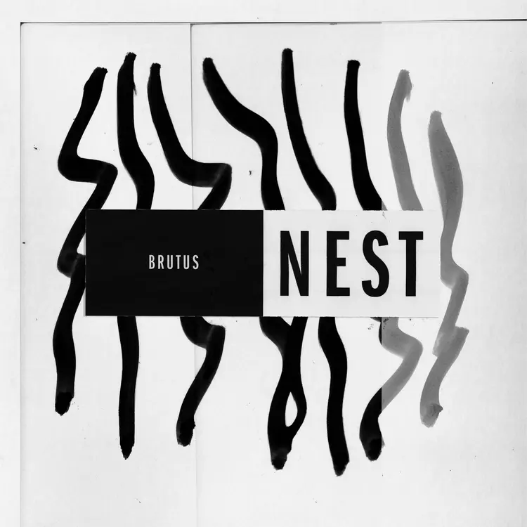 Obal alba Brutus nerespektují žánrové hranice ani klišé — Recenze